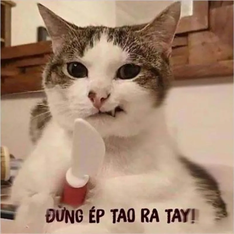avatar-meme-cute-008-1 Meme bựa nhất khiến bạn không thể ngừng cười và chia sẻ