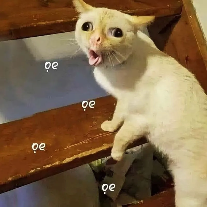 avatar-meme-cute-010-1 Tải ngay ảnh meme chế bựa để làm phong phú bộ sưu tập của bạn