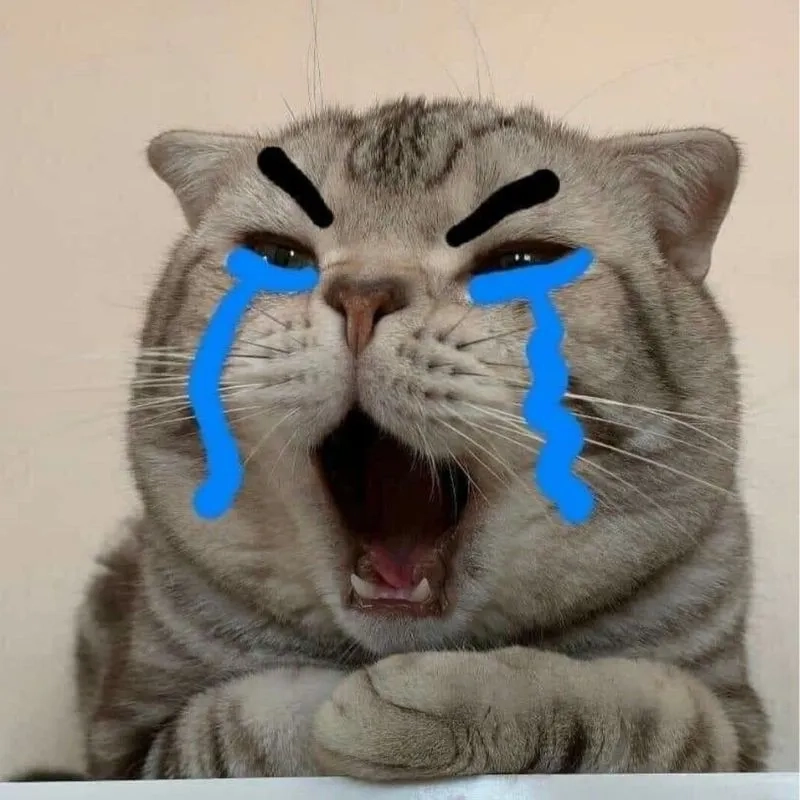 avatar-meme-cute-013-1 Cùng chia sẻ stt vui nhộn để mang lại tiếng cười cho mọi người
