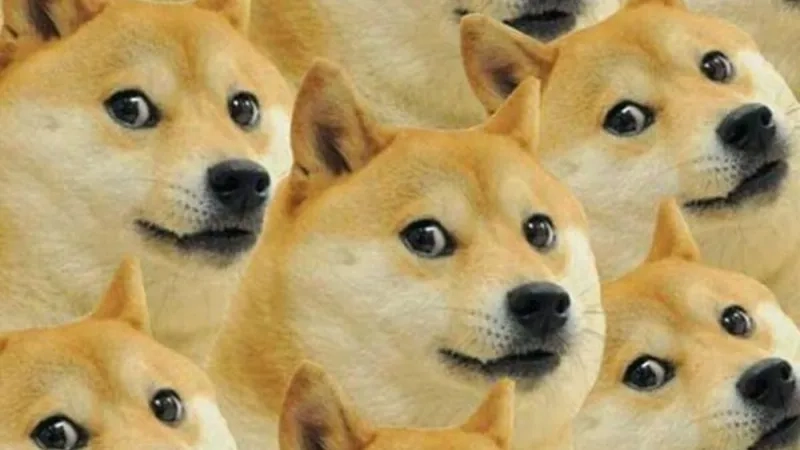 avatar-meme-face-005-1 Biểu cảm độc đáo trong gojo meme face gây sốt cộng đồng mạng