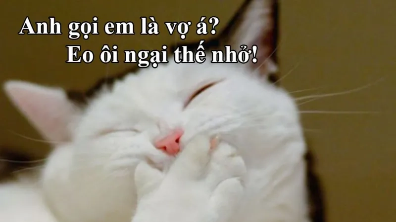 avatar-meme-face-009-1 Tạo ấn tượng mạnh với avatar meme hài mèo cực kỳ ngộ nghĩnh