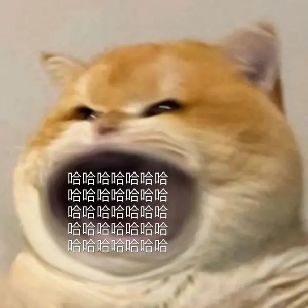 avatar-meme-hai-001-4 Hình ảnh avatar meme hài bựa cực kỳ vui nhộn và lầy lội