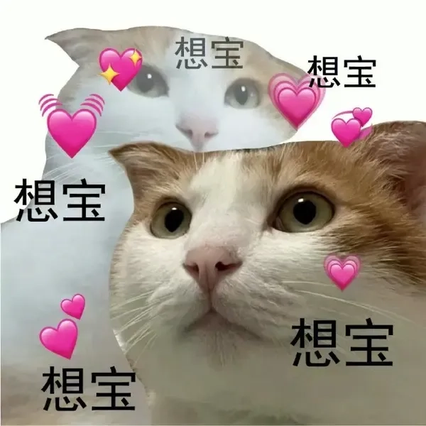 avatar-meme-hai-007-1 Meme ảnh chó hài đáng yêu mang lại tiếng cười sảng khoái