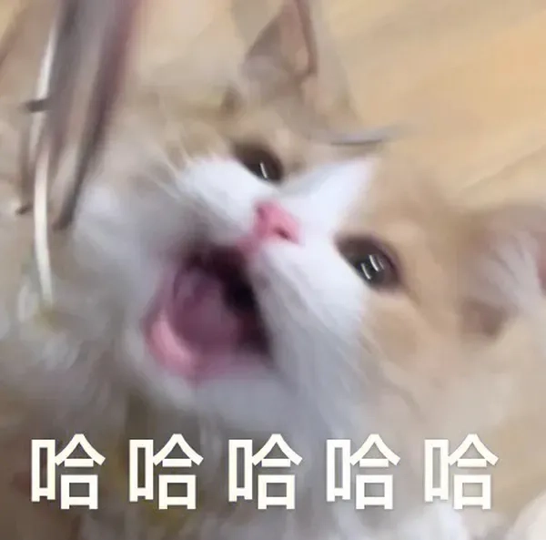 avatar-meme-hai-009-1 Tìm ngay hình meme hài để tạo bất ngờ cho bạn bè