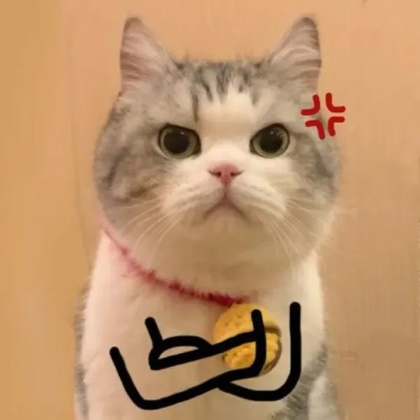 avatar-meme-meo-005-1 Tải ngay avatar ảnh mèo cute meme để làm bạn thêm vui nhộn