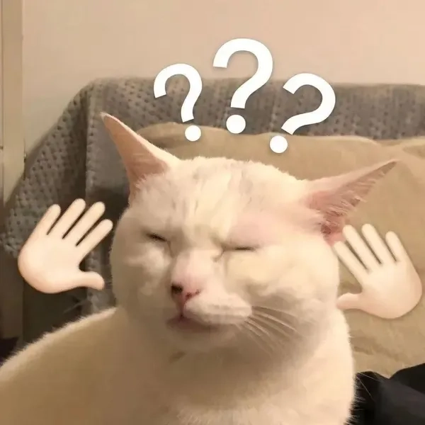 avatar-meme-meo-011-1 Avatar vô tri meme cute là lựa chọn lý tưởng cho hình ảnh ngộ nghĩnh