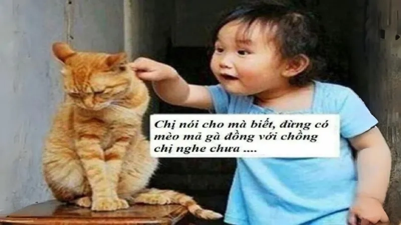 avatar-vo-tri-meme-006-1 Meme cute hình icon dễ thương là lựa chọn không thể bỏ qua